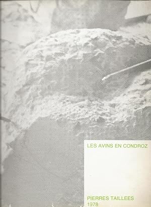 Seller image for Les Avins en Condroz : Pierres Taillees 1978 for sale by The land of Nod - art & books
