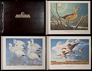 Waterfowl of North America - 44 Color Plates - by Ducks Unlimited