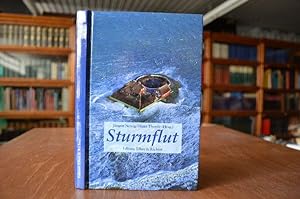 Immagine del venditore per Sturmflut. Gefhrdetes Land an der Nordseekste. Edition Ellert & Richter venduto da Gppinger Antiquariat