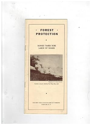 FOREST PROTECTION