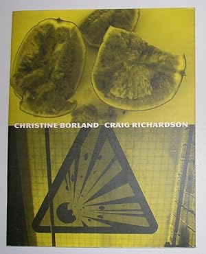 Seller image for Christine Borland - Craig Richardson (Chisenhale Gallery, London 24 February - 28 March 1993) for sale by David Bunnett Books