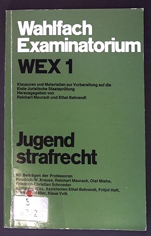 Seller image for Jugendstrafrecht; Wahlfach Examinatorium WEX 1; for sale by books4less (Versandantiquariat Petra Gros GmbH & Co. KG)