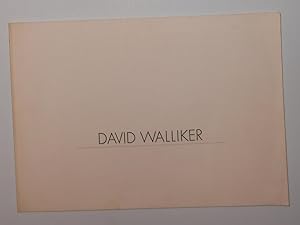 Seller image for David Walliker (Lunds Konsthall, 3 Augusti - 8 September 1991) for sale by David Bunnett Books