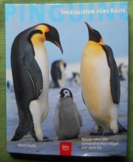 Pinguine. Spezialisten fürs Kalte. Neues über die sympathischen Vögel aus dem Eis.