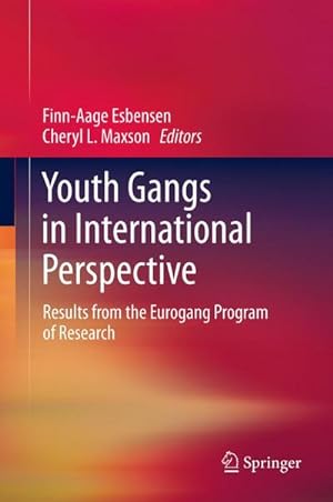Bild des Verkufers fr Youth Gangs in International Perspective : Results from the Eurogang Program of Research zum Verkauf von AHA-BUCH GmbH