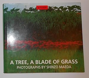 Seller image for A Tree, A Blade of Grass - Okumikawa - The Nippon Alps - Photographs by Shinzo Maeda for sale by David Bunnett Books