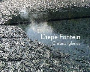 Seller image for Diepe Fontein Cristina Iglesias for sale by Antiquariaat Digitalis