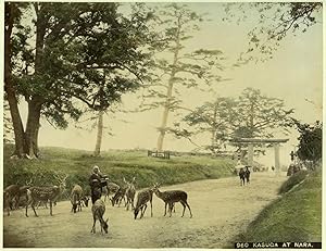 c.1890 JAPAN KASUGA AT NARA GENUINE ANTIQUE ALBUMEN PHOTOGRAPH