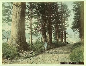 c.1890 JAPAN ROAD AT HAKONE GENUINE ANTIQUE ALBUMEN PHOTOGRAPH