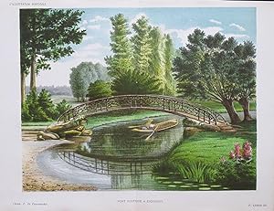 1885 PONT RUSTIQUE A ESQUENOY Rustic Bridge Antique Botanical Print LINDEN