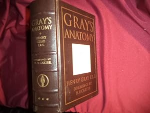 Seller image for Gray's Anatomy. Anatomy of the Human Body. Deluxe edition. for sale by BookMine