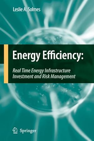 Bild des Verkufers fr Energy Efficiency : Real Time Energy Infrastructure Investment and Risk Management zum Verkauf von AHA-BUCH GmbH