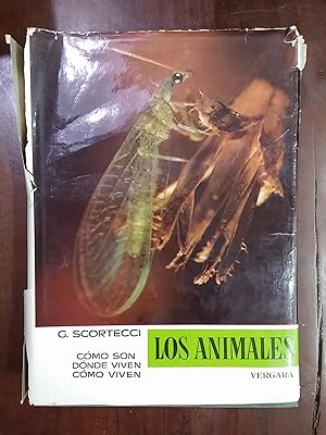 Seller image for Los animales. Cmo son. Dnde viven. Cmo viven. Vol V: Insectos for sale by Kavka Libros