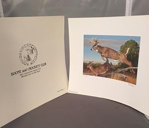"Whitetail Deer" - 1982 Conservation Print ** SIGNED LIMITED EDITION**