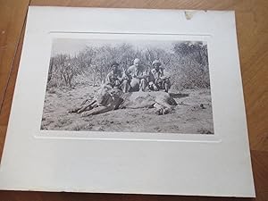 Original Photograph- Hunter, Two African Guides, Dead Lion, Much Pointless Violence Enabled By Il...