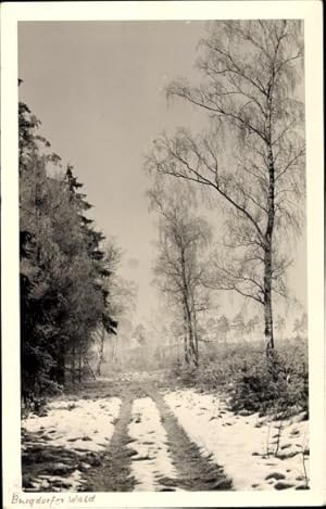 Bild des Verkufers fr Foto Ansichtskarte / Postkarte Vhrum Peine in Niedersachsen, Winterspaziergang, Landschaftsblick zum Verkauf von akpool GmbH