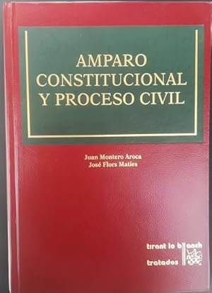 Imagen del vendedor de Amparo constitucional y derecho civil a la venta por Librera Reencuentro