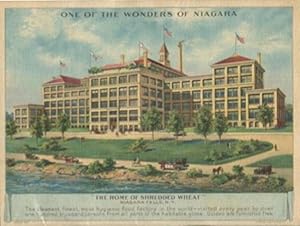 The Wonders of Niagara: A visit to America's greatest cataract with a description of the points o...
