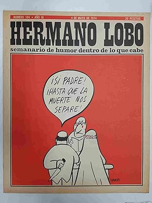 Seller image for Hermano Lobo numero 104: portada de Summers for sale by El Boletin