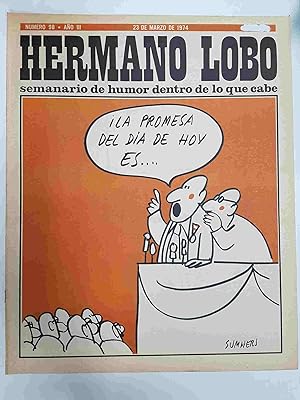 Seller image for Hermano Lobo numero 098: portada de Summers for sale by El Boletin