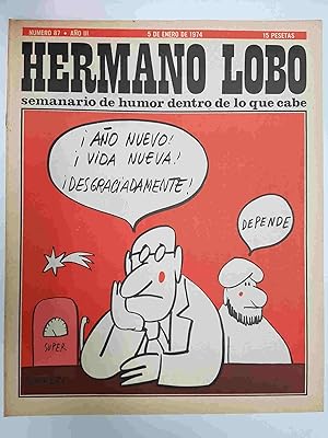 Seller image for Hermano Lobo numero 087: portada de Summers for sale by El Boletin