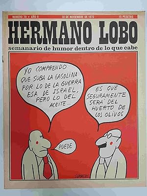 Seller image for Hermano Lobo numero 079: portada de Summers for sale by El Boletin