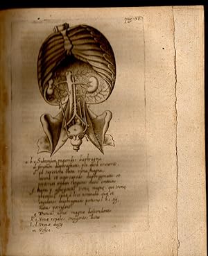 Celeberrimorum Anatomicorum Severini, Castrensis, Iasolini Et Cabrolii Varia Opuscula Anatomica. ...