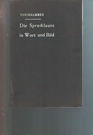 Bild des Verkufers fr Die Sprachlaute in Wort und Bild zum Verkauf von Windau Antiquariat