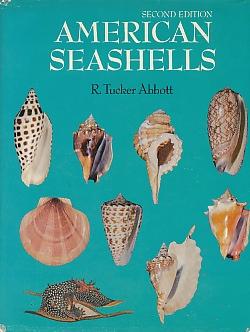 Bild des Verkufers fr American Seashells The Marine Molluska of the Atlantic and Pacific Coasts of North America zum Verkauf von Bookshelf of Maine