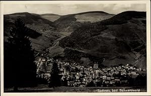 Ansichtskarte / Postkarte Todtnau im Südschwarzwald, Stadtpanorama, Waldpartie, Felder