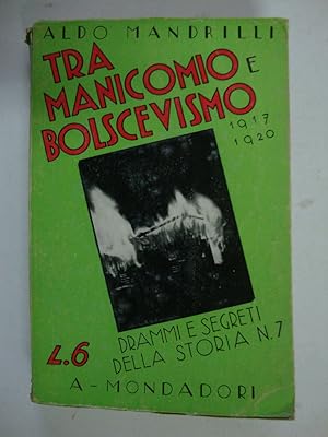 Tra manicomio e bolscevismo (1917 - 1920)