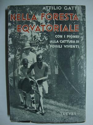 Nella foresta equatoriale