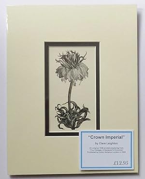 Crown Imperial (1936 Lithograph Print, Flowers )