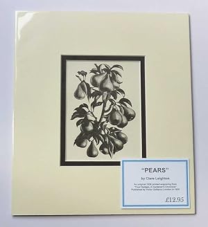 Pears (1936 Lithograph Print, Fruit )