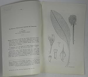 Bild des Verkufers fr Un Dipsacus (Dipsacaceae) nouveau du Cameroun, zum Verkauf von Versandantiquariat Hbald