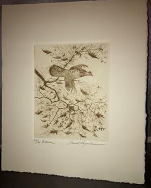 Ruffed Grouse ** SIGNED Limited Edition Drypoint Etching**