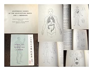 Imagen del vendedor de Anatomical Charts of the Acupuncture Points and 14 Meridians. a la venta por Versandantiquariat Abendstunde