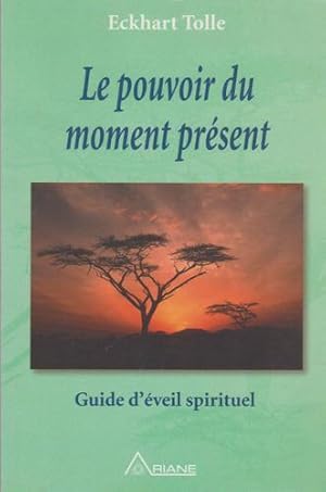 Bild des Verkufers fr Le Pouvoir du moment prsent : Guide d'veil spirituel zum Verkauf von Livres Norrois