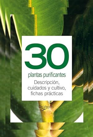 30 PLANTAS PURIFICANTES