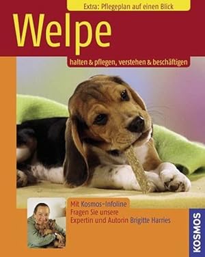 Welpe