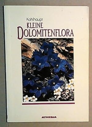 Seller image for Kleine Dolomiten-Flora for sale by ANTIQUARIAT Franke BRUDDENBOOKS