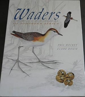 Image du vendeur pour Waders of Southern Africa mis en vente par Chapter 1