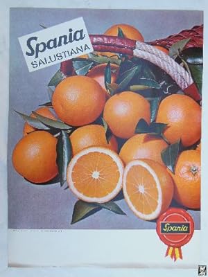 Cartel Publicidad - Advertising Poster : NARANJAS SPANIA SALUSTIANA.