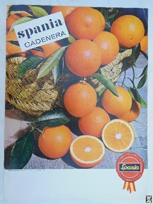 Cartel Publicidad - Advertising Poster : NARANJAS SPANIA CADENERA.