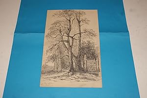 A Bois Château (Mamers - Sarthe) - Dessin Original attribué à Adolphe Messager, Artiste-Peintre L...