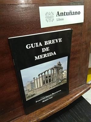 Bild des Verkufers fr Guia breve de Merida zum Verkauf von Libros Antuano