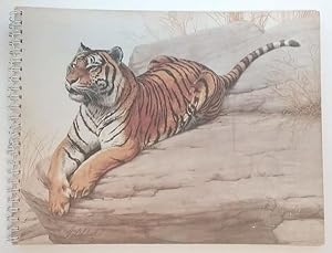 Contemporary Sporting and Wildlife Art 1975 Signed Ltd #40/1000