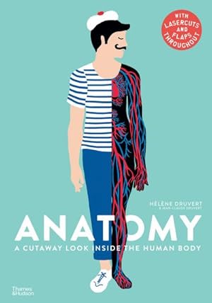 Bild des Verkufers fr Anatomy : A Cutaway Look Inside the Human Body zum Verkauf von AHA-BUCH GmbH