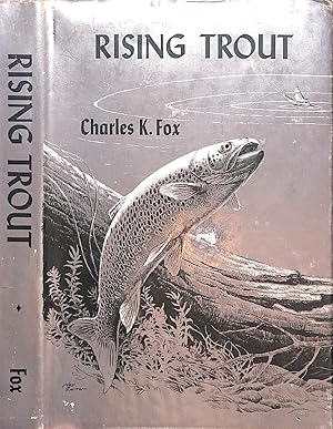 Rising Trout