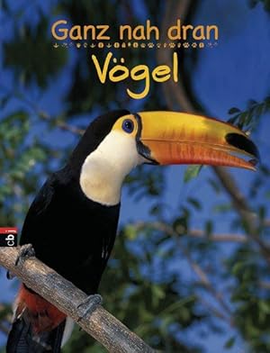 Ganz nah dran - Vögel